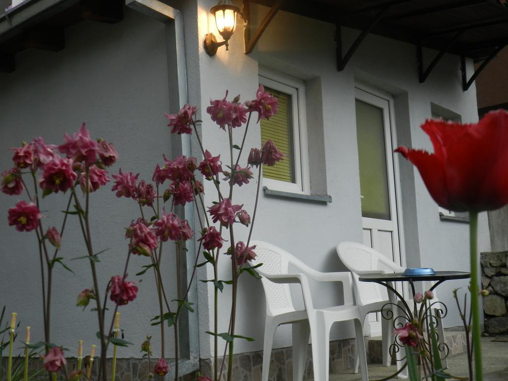 Apartment-Studio Downtown Dudanovi Ohrid Extérieur photo