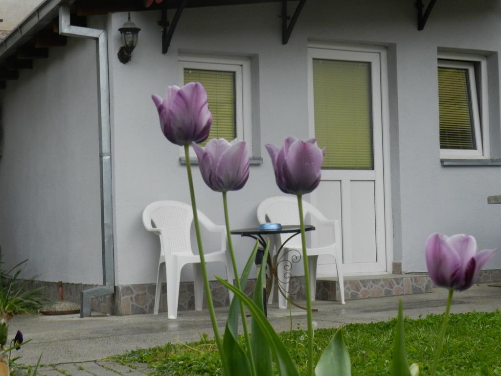 Apartment-Studio Downtown Dudanovi Ohrid Extérieur photo